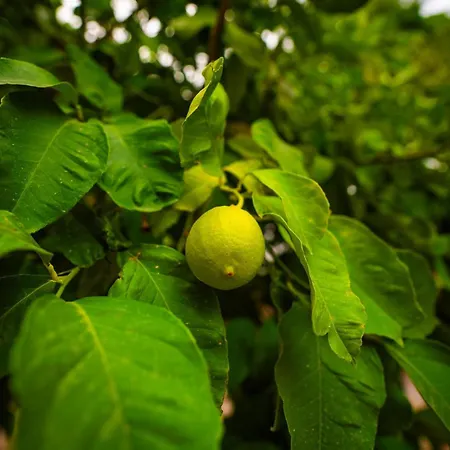 Vila Jewel With Private Pool And Sea View Lapithos (Northern Cyprus)